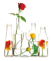 ecova fiori piubello